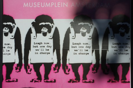 apes_2016-08-06 11.35.03.jpg