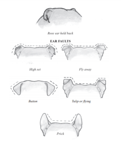 screenshot 2019-01-14 17.11.25