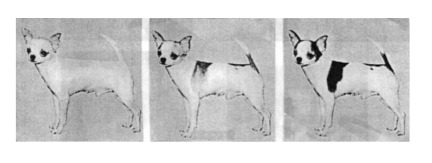 screenshot 2019-01-14 17.11.30